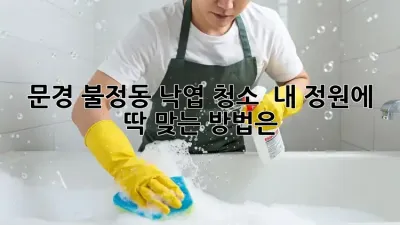 문경 불정동 낙엽 청소 🍂, 내 정원에 딱 맞는 방법은? ✨
