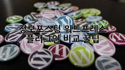 정보포스팅 워드프레스 플러그인 비교 꿀팁🍯